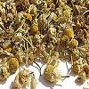 Chamomile